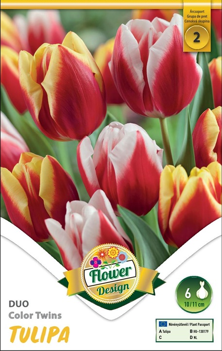 Tulipa Duo Color Twins / Tulipán Duó Color Twins 6 db virághagyma II. árcsoport