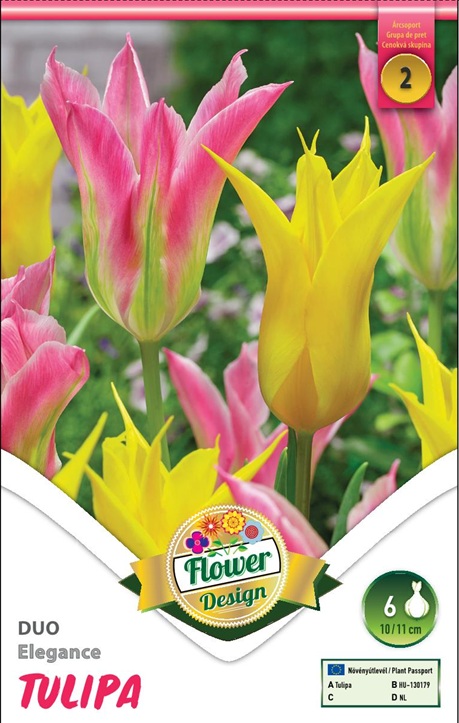 Tulipa Duo Elegance / Tulipán Duó Elegance 6 db virághagyma II. árcsoport