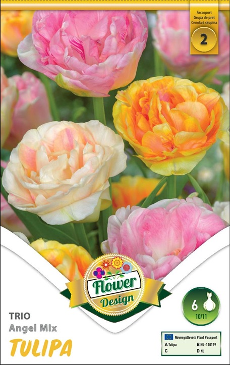 Tulipa trio Angel mix / Tulipán trio 6 db virághagyma II. árcsoport